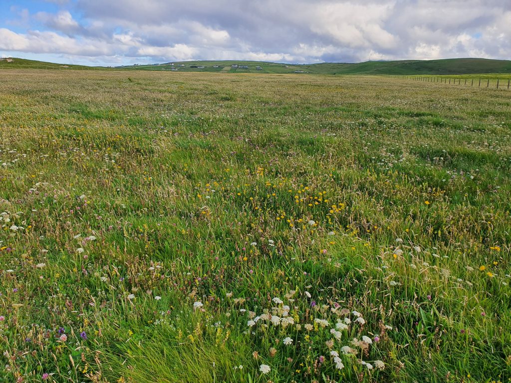 Life On Machair